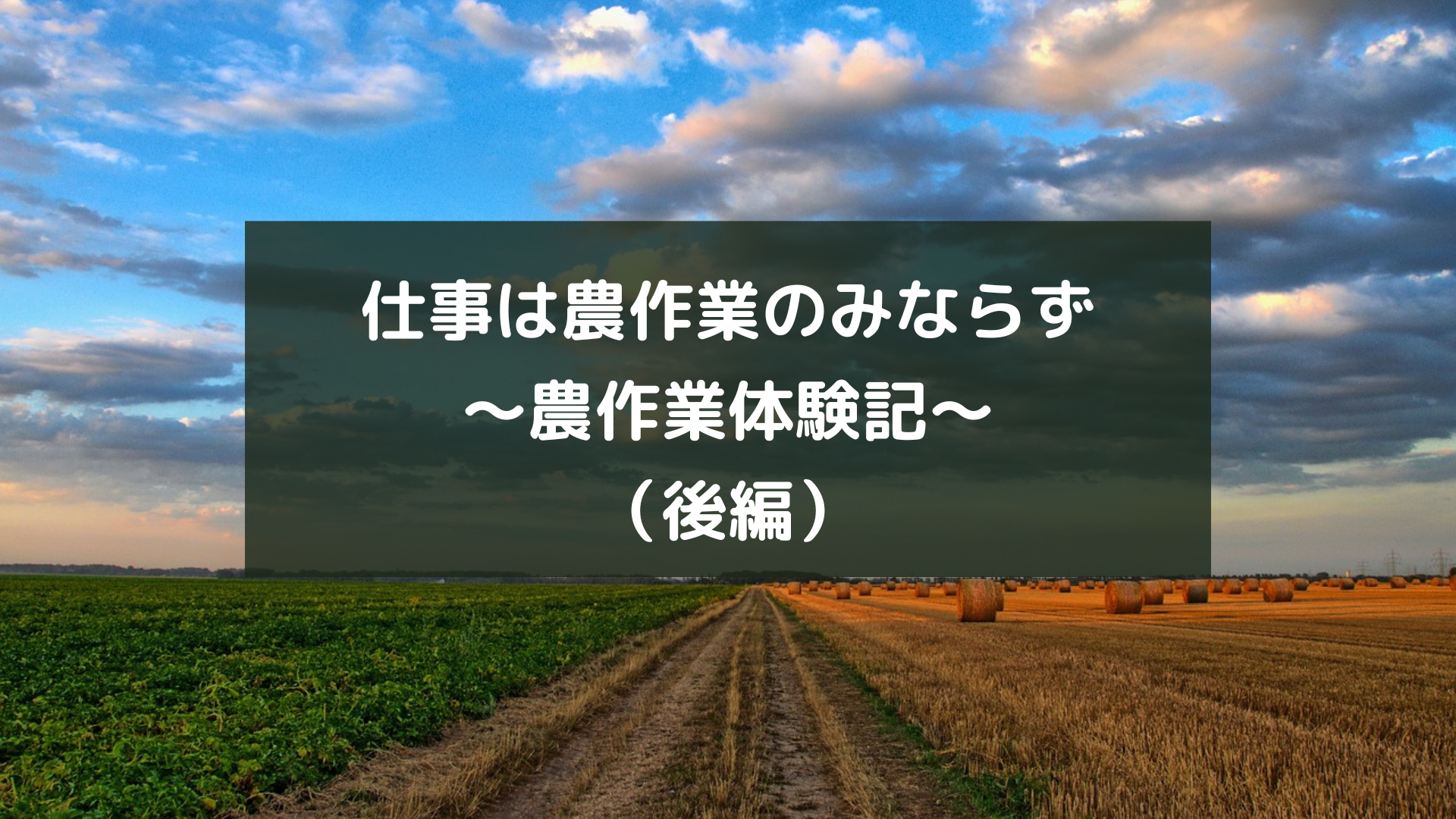 仕事は農作業のみならず〜農作業体験記〜（後編）