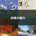 四季の魅力