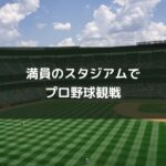 満員のスタジアムでプロ野球観戦