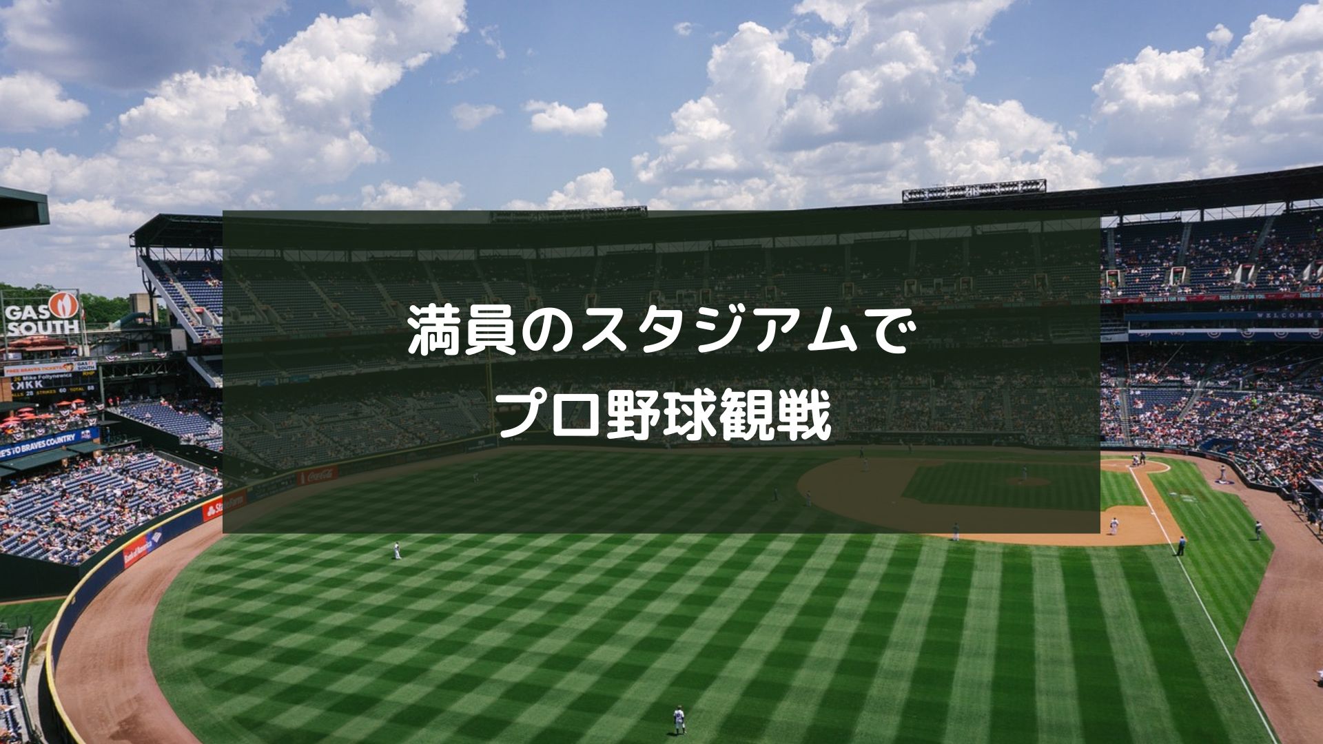 満員のスタジアムでプロ野球観戦