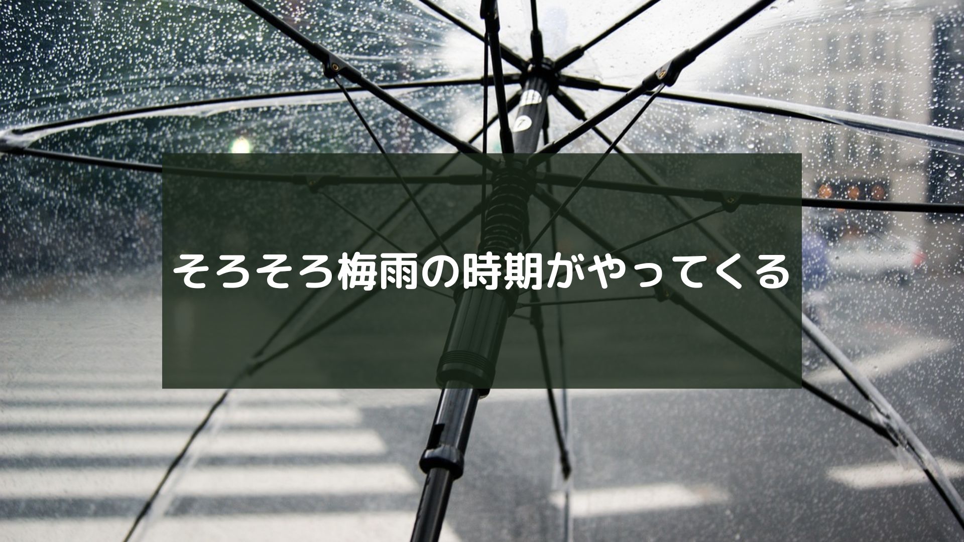 そろそろ梅雨の時期がやってくる