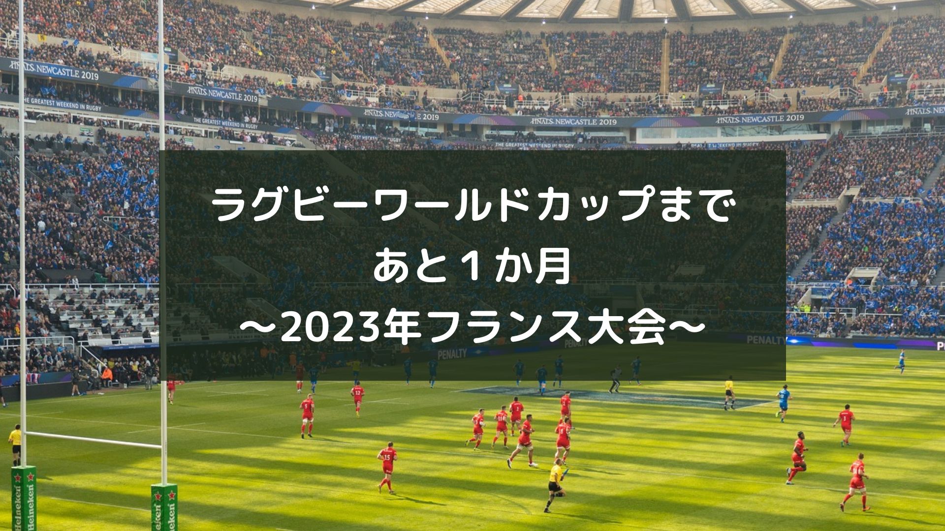 ラグビーワールドカップまであと１か月～2023年フランス大会～